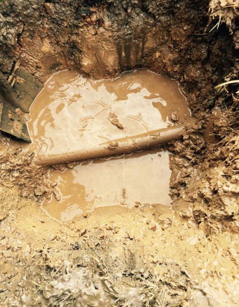 Mark Quillan Plumbing - Bridge Guide 1