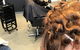 Bliss Hair Artists - thumb 2
