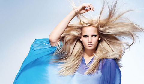 Lotus Hair Studio - Click Find 2