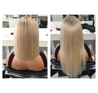 Harlequin Hair Studio One - Bridge Guide