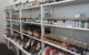 Weston Home Brew Supplies - thumb 4