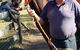 Brian S Grant Horse Dentistry & Farrier Service - thumb 0