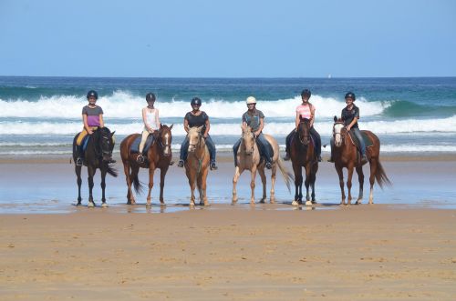 Horse Riding Medowie NSW Bet 4u