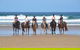 Causeway Equestrian - thumb 0