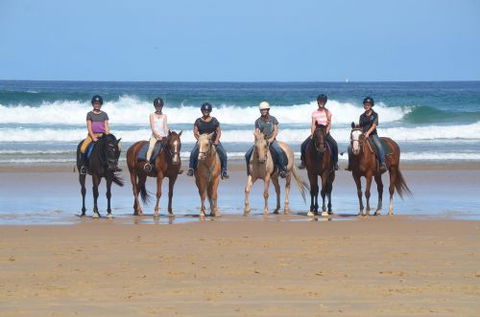 Causeway Equestrian - Click Find 0