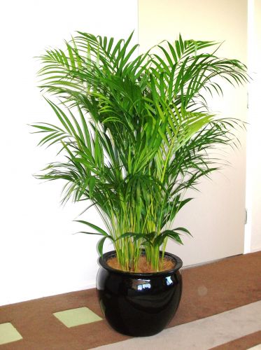 Evergreen Interiors - Click Find 2