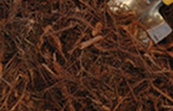 Cairns Raw Materials - Click Find 7