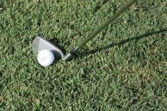 Pialba Turf Supplies - Bet 4u 1