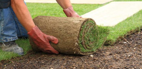 Pialba Turf Supplies - Bet 4u 3