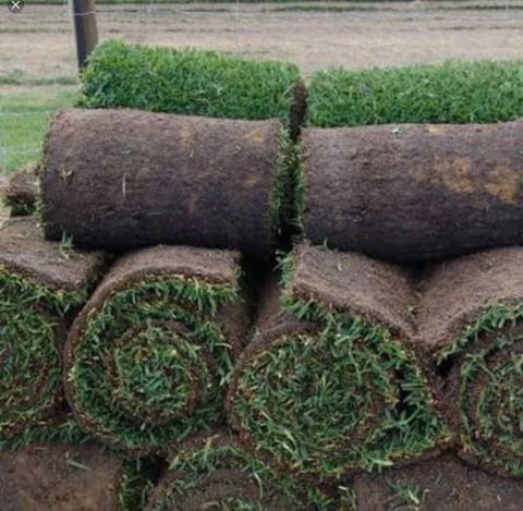 U-Bute Turf Farm - DBD 0