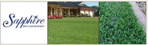 U-Bute Turf Farm - DBD 1