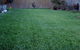 U-Bute Turf Farm - thumb 2