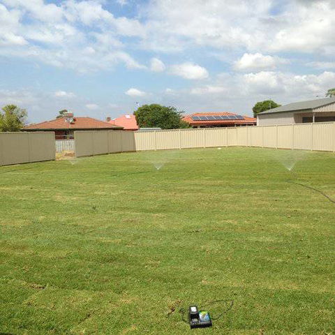 Orana Turf - Click Find 1