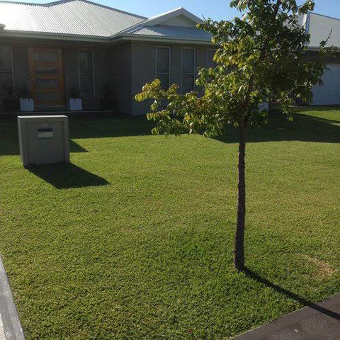 Orana Turf - Click Find 2