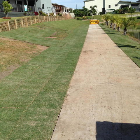 Wide Bay Turf - Click Find 1