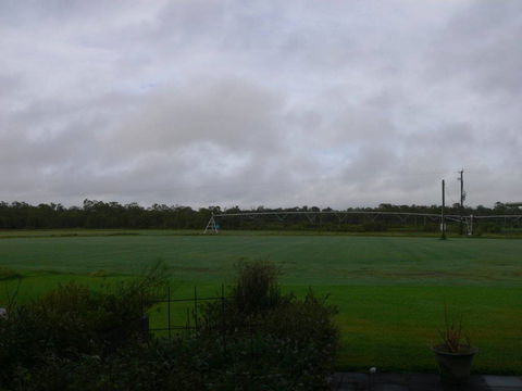 Bay Turf - Click Find 0