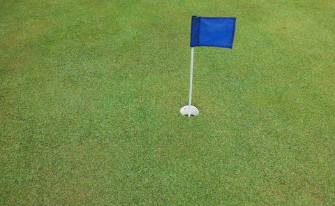 Bay Turf - Click Find 1