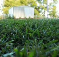 Sunset Turf - Click Find