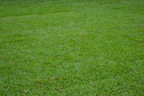 Gumlow QLD Click Find