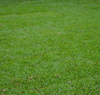 Greenview Turf - Click Find