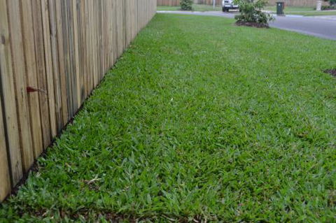 Greenview Turf - Click Find 1