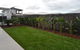 Greenview Turf - thumb 4
