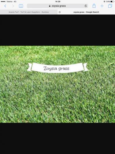 Acacia Turf Farm - Click Find 1
