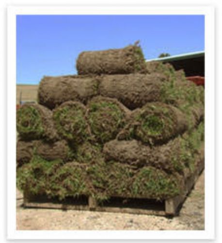 Acacia Turf Farm - Click Find 3