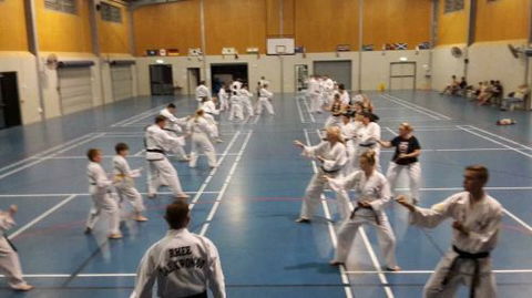 Rhee Tae Kwon Do - Bridge Guide 1