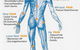 Cairns Sport And Remedial Massage - thumb 2