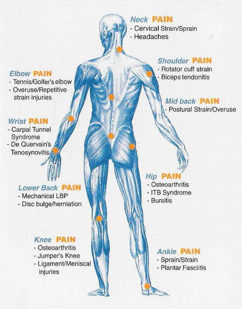 Cairns Sport And Remedial Massage - Click Find 2