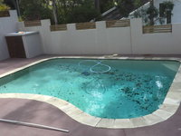 Davison Pool  Spa Services