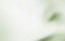 Robynn Morro’s Alternative Health Specialists - thumb 1