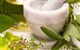 Robynn Morro’s Alternative Health Specialists - thumb 3