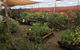 Barnyard Stockfeed, Pet And Garden Centre - thumb 1