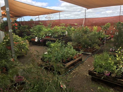 Barnyard Stockfeed, Pet And Garden Centre - Click Find 1
