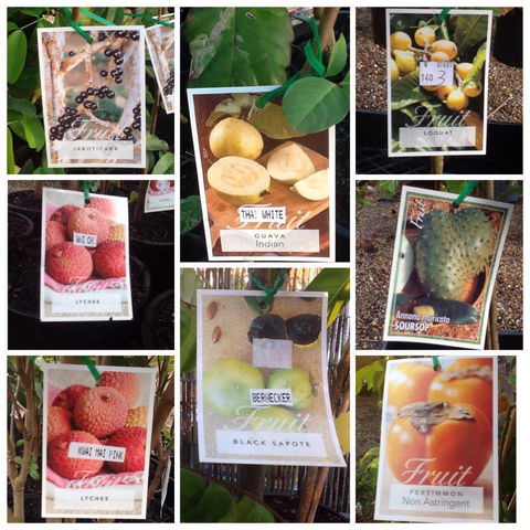 Jigsaw Garden Centre - Bet 4u 1