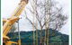 Civic Trees Pty Ltd - thumb 1