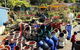 Greenbourne Nursery - thumb 2