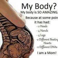 Optimal Midwifery - Bet 4u 3