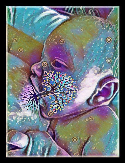 Optimal Midwifery - Bet 4u 4