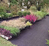 Old Farm Nursery - Lawyer Find