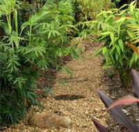 Plant Connections - Click Find