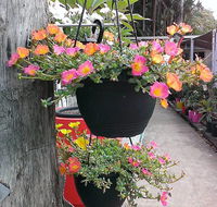Doonan Valley Garden Centre - DBD
