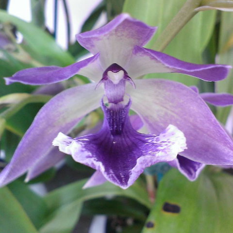 Doonan Valley Garden Centre - Bet 4u 1