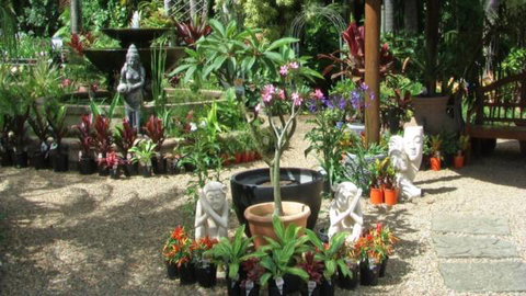 Doonan Valley Garden Centre - Bet 4u 2