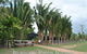 Bluewater Palms - thumb 0