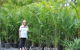 Bluewater Palms - thumb 2
