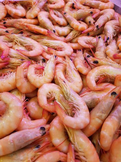 Seafood Wholesaler Co Op Portsmith QLD Bet 4u