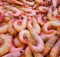 Great Barrier Reef Tuna - Bet 4u